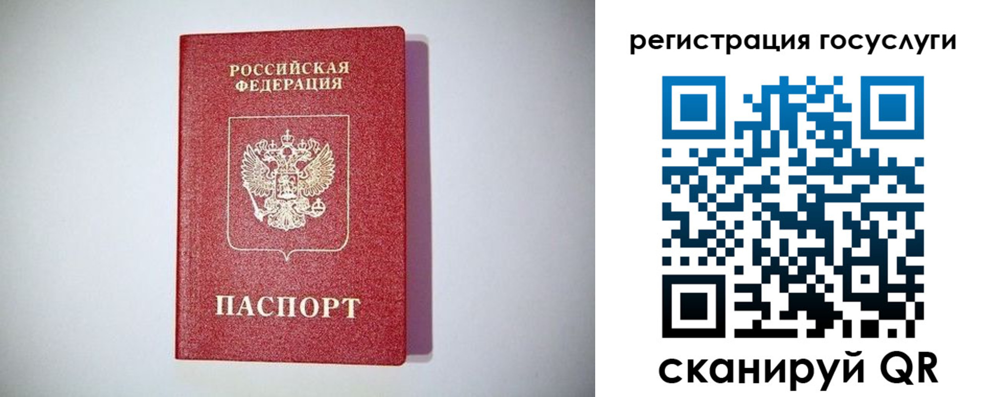 где прописаться в Купино